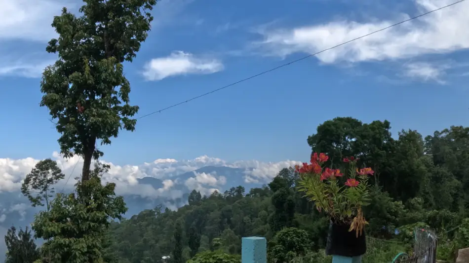Wake up to Nature’s Beauty at One of the  Best HomeStays in  Kalimpong