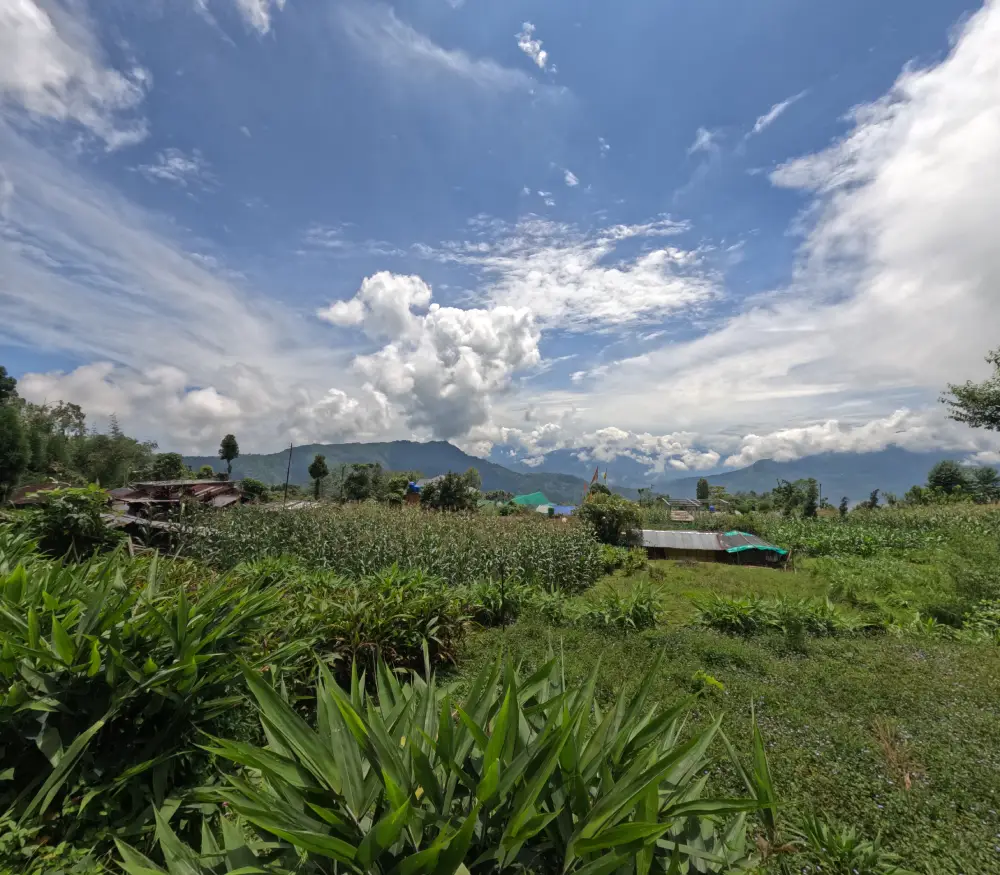 A Quiet Corner in the Hills: Fikkalay Gaon Near Kalimpong